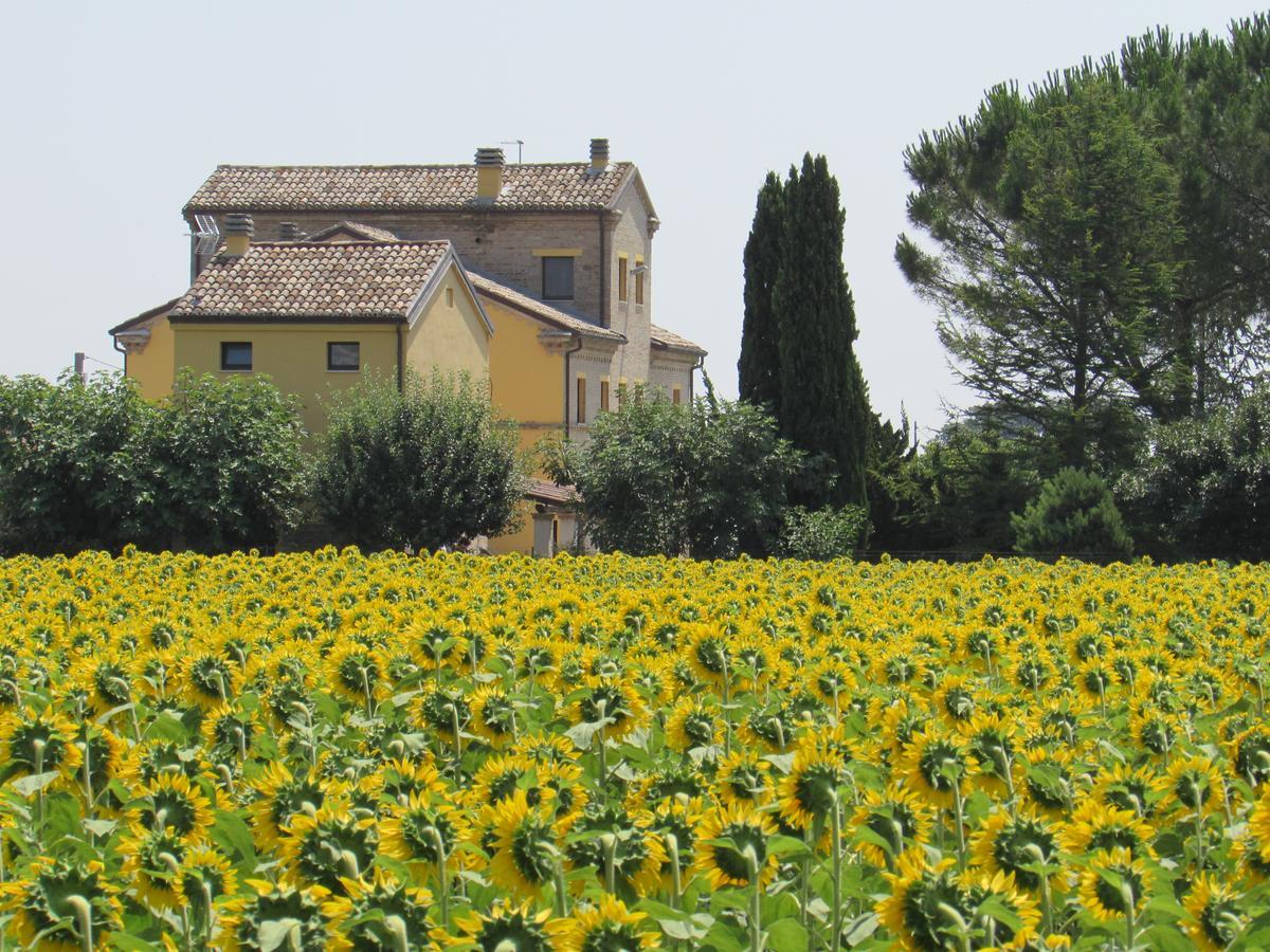 Alla Bigattiera Osimo Exteriér fotografie